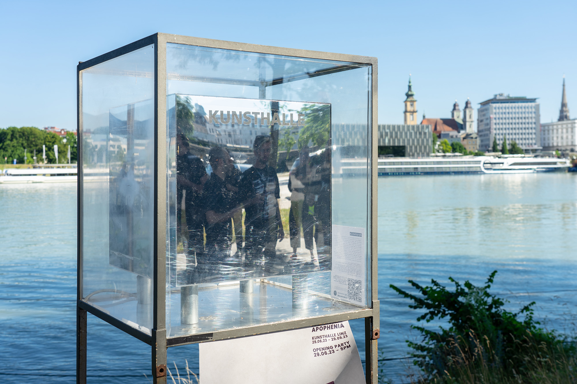 Apophenia installation view