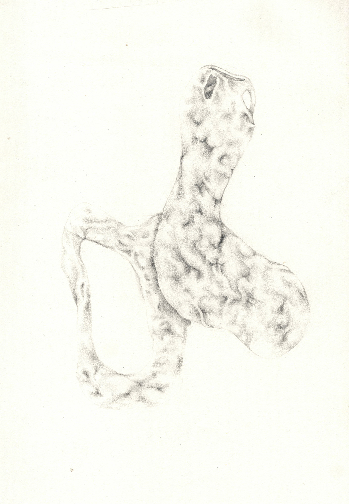 organica_materia drawing