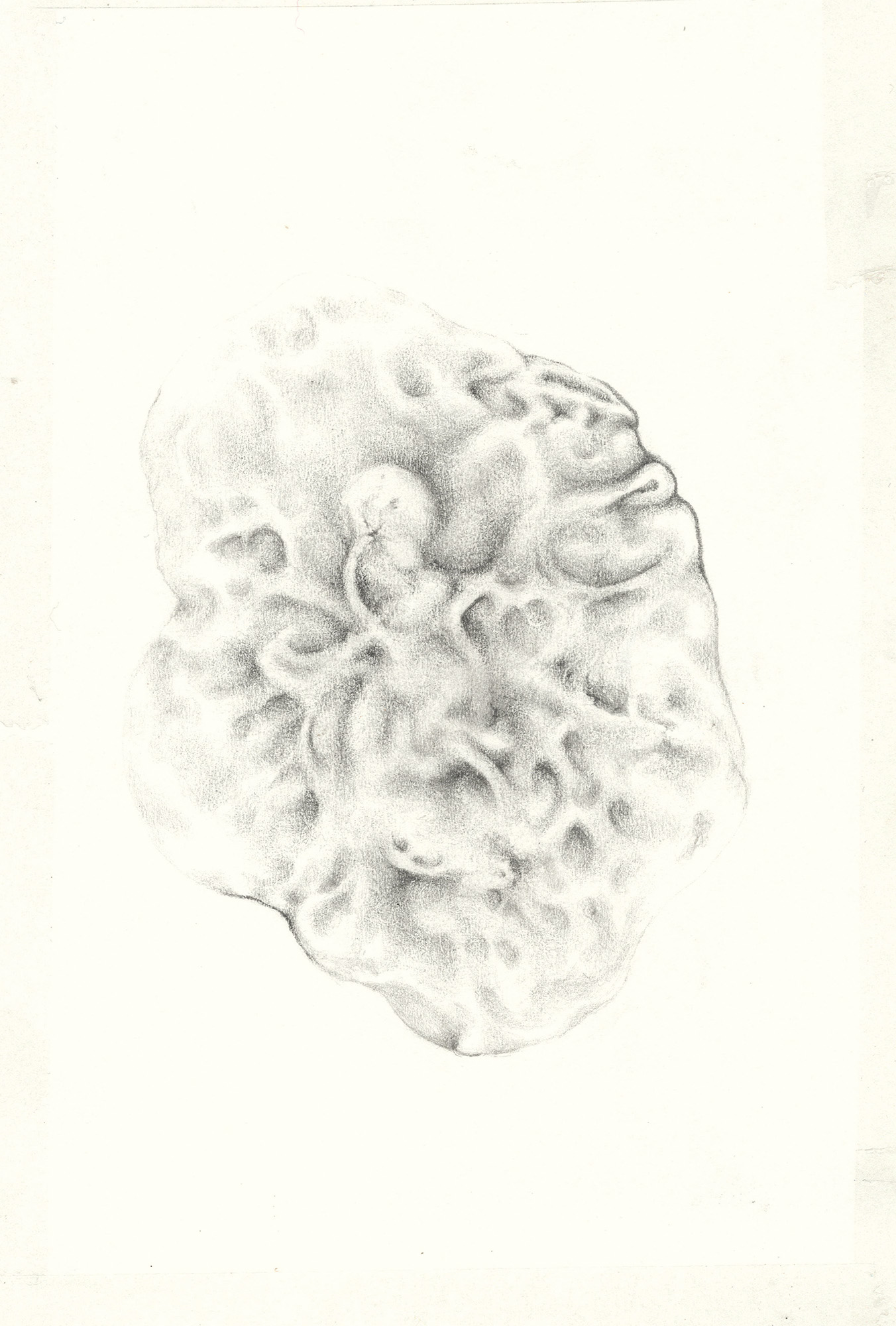 organica_materia drawing 2