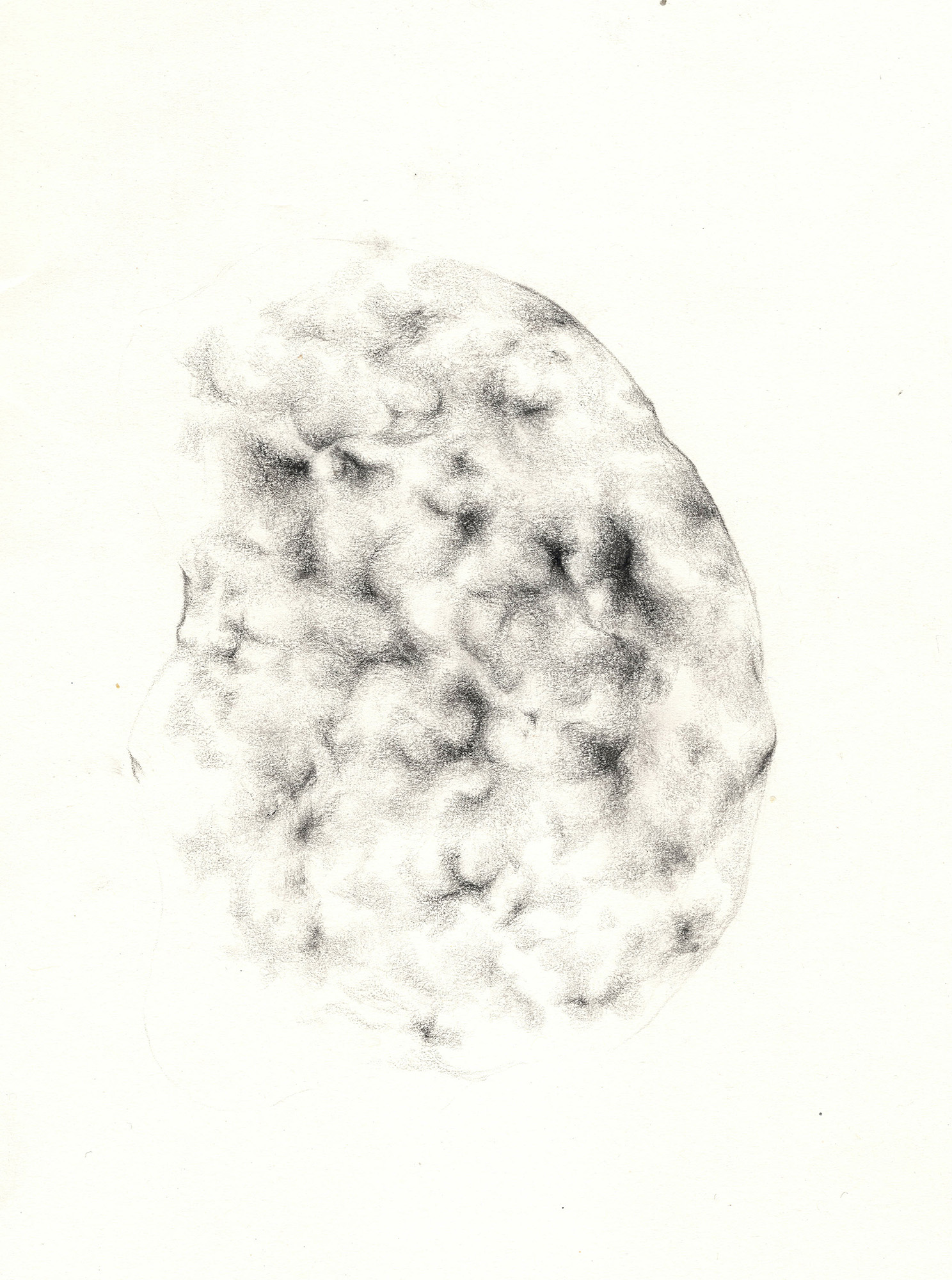 organica_materia drawing 3