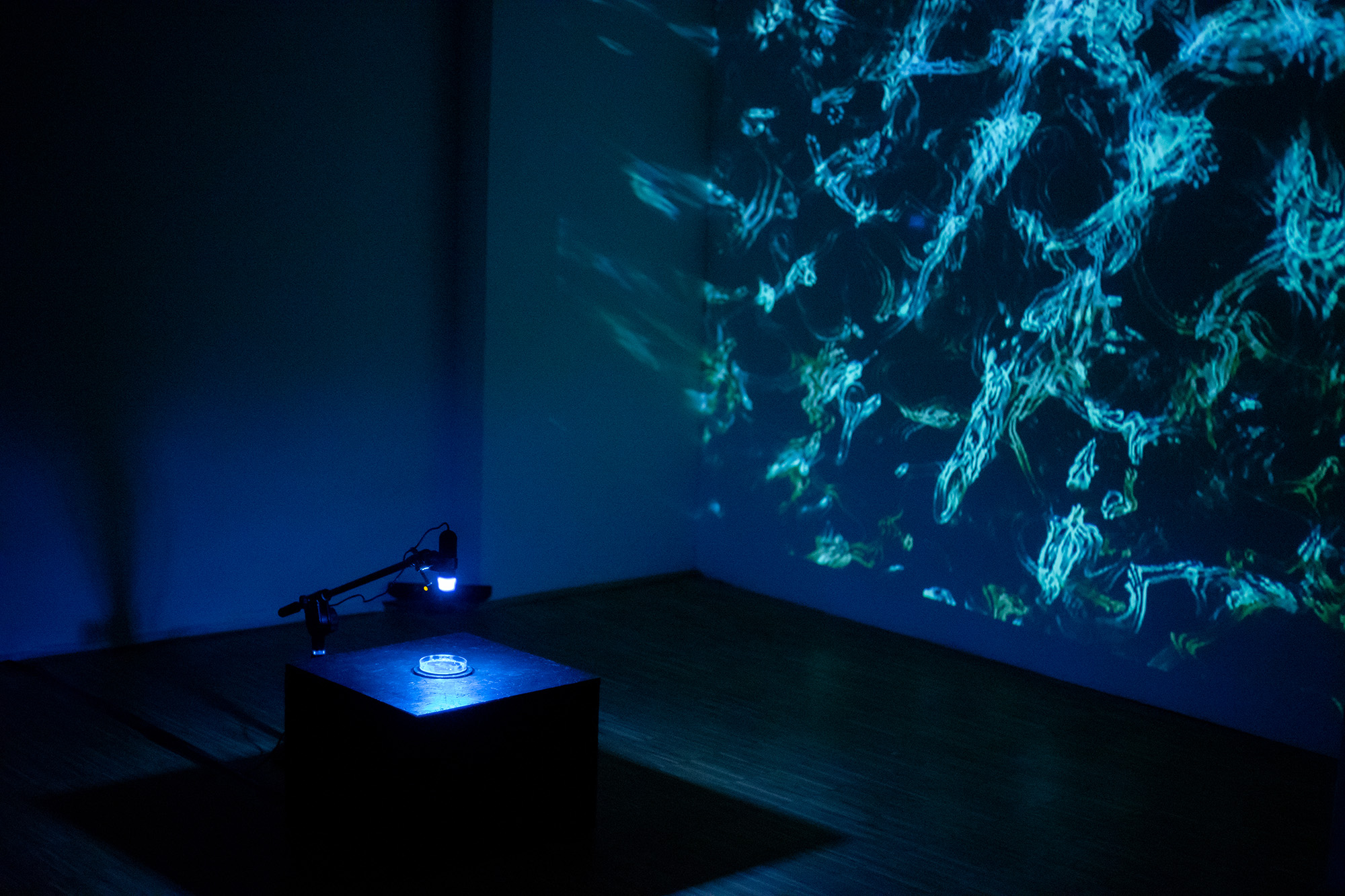 Resonating Absence installation view 1