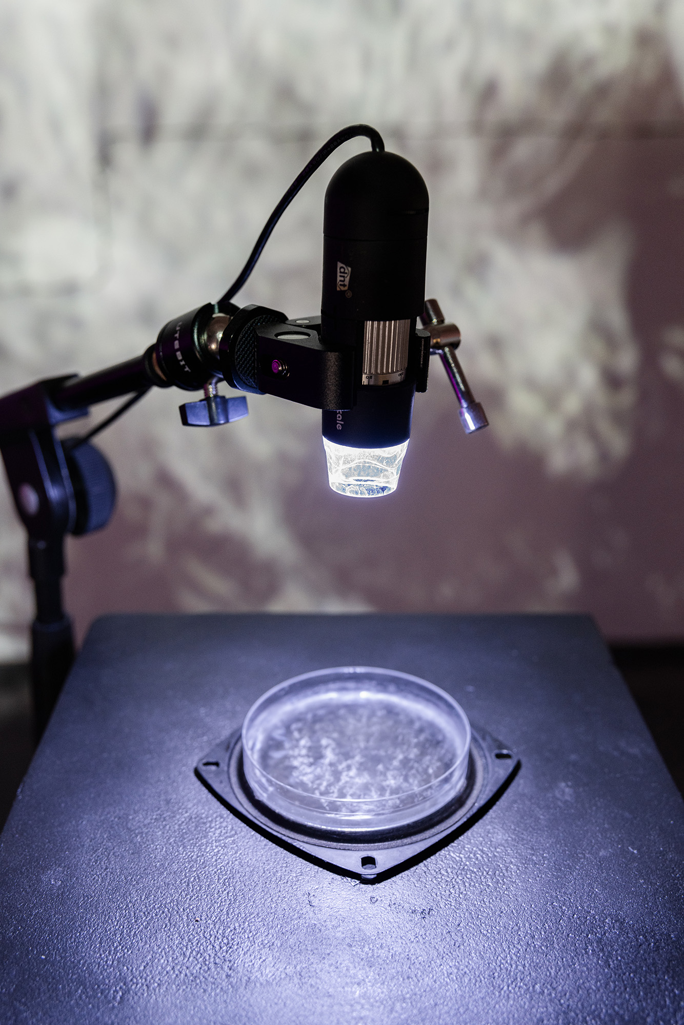 Resonating Absence installation view 2