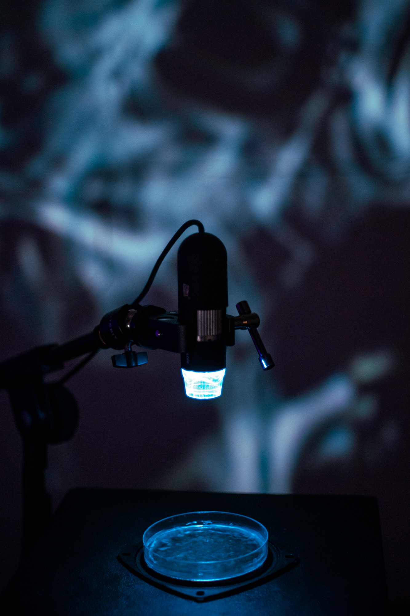 Resonating Absence installation view 4