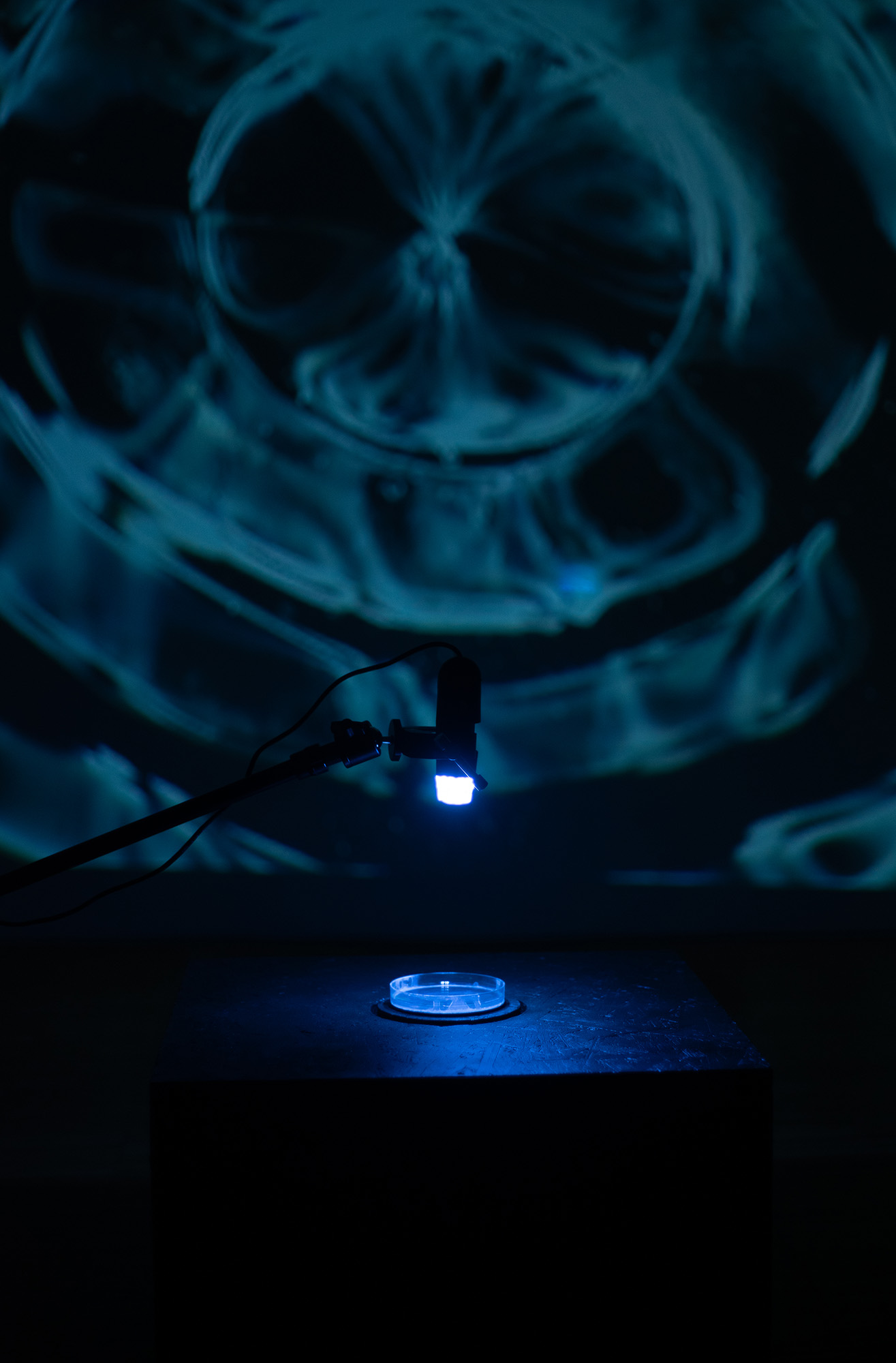 Resonating Absence installation view 5